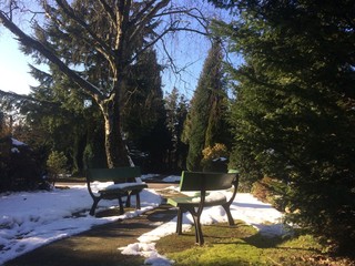 Bänke im Park im Winter