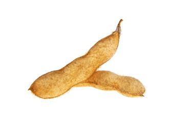 Soybean pods isolated on white background. Soya - protein plant