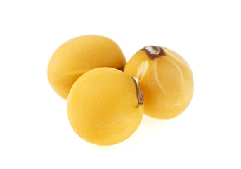 Close up of a soybeans. Macro image, selective focus.