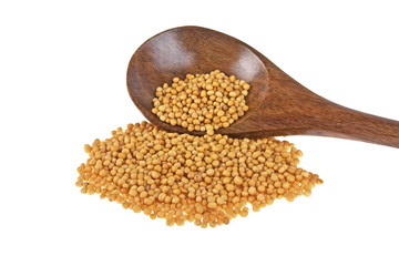 Mustard seeds on wooden spoon isolated on white background