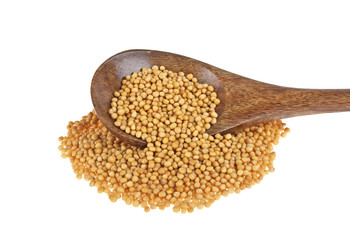 Mustard seeds in wooden spoon isolated on white background