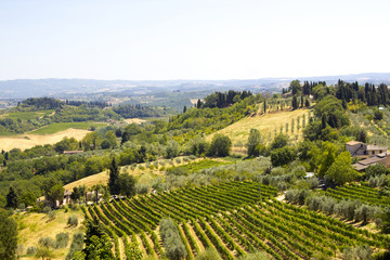 view of typical Tuscany landscape in summer, Italy