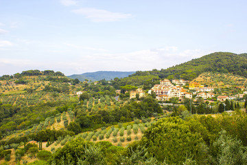 Fototapeta na wymiar view of typical Tuscany landscape in summer, Italy