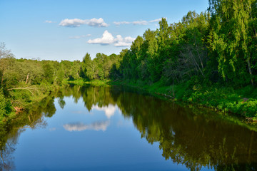 Forest and sky reflected in the river. Landscape.