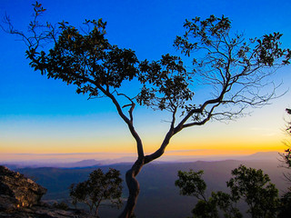 Obraz premium Sun rise Phu Kradueng National Park,Thailand