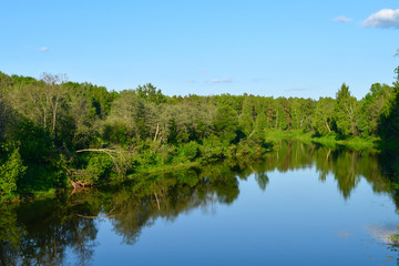 Forest and sky reflected in the river. Landscape.