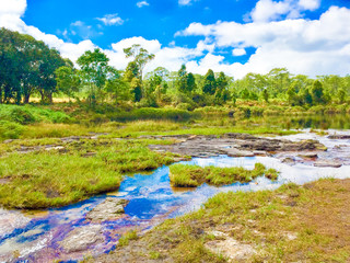 Phu Kradueng National Park,Thailand