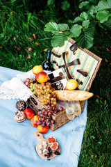 Picnic at the park, delicious food