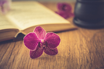 beautiful flower with old book and Cup of coffee or tea. 