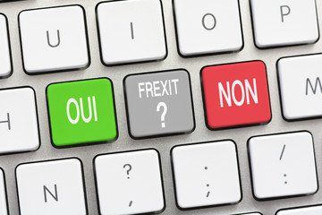 Frexit question and answer Yes and No in French