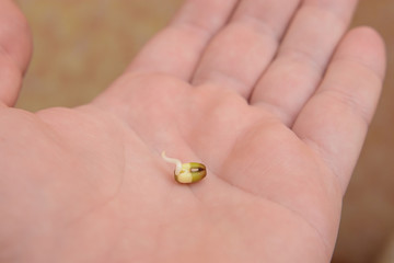 Bean sprouts in his hand