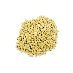 soy beans isolated on white background.
