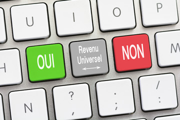 Universal Income question and answer Yes and No in French