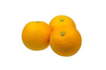 navel oranges on white background