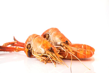 Grilled shrimp isolated on white background