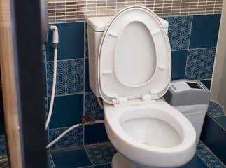 Toilet seat decoration in bathroom interior