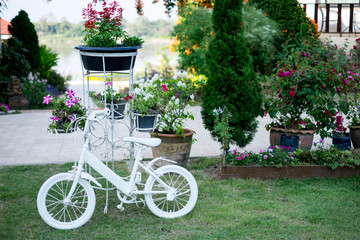 Fototapeta na wymiar White Bicycles use to decorate in garden