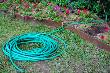 Green rubber tube for watering plants in the garden.