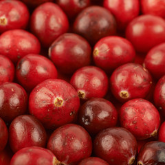 Fototapeta na wymiar Surface coated with the cranberries
