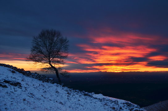 Crepuscolo con albero