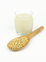 Milk with soy beans on white background.