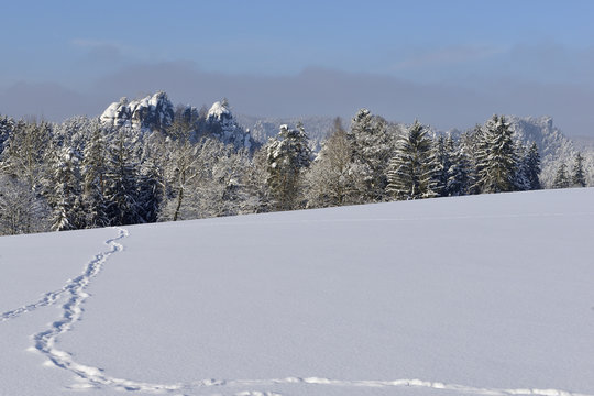 Blick zum Gamrig in der S&auml;chsischen Schweiz