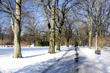 winter landscape park snow tree