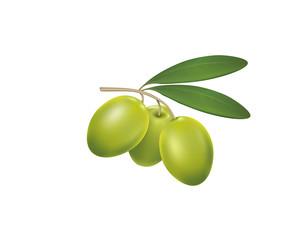 Green olives on a white background