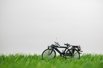 Obraz premium The Model toy