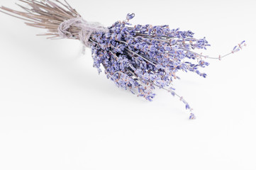 Bundle of lavander on white background isolate