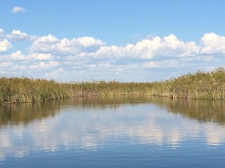 Water landscape in Botswana