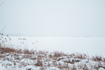 Frozen River in the snow with a view of the coast from reeds