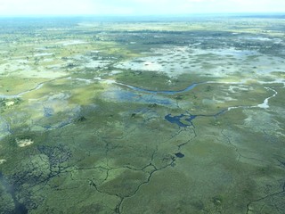 Green season in the Okavango delta
