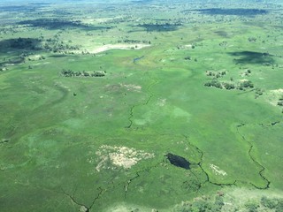 Flying over Okavango Delta in green season