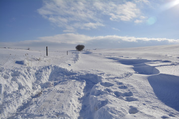 countryside road in cold winter