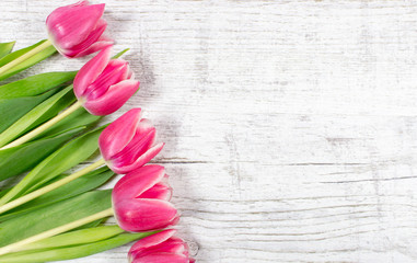 Tulips on wood background. Space for text.