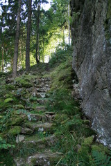 Steintreppe im Wald