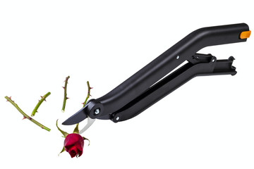 garden secateurs
