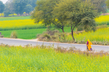 An Indian village Woman on a road