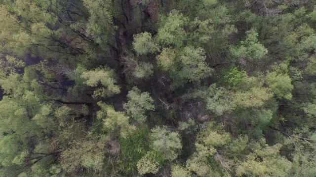 Flying over the river Desna near Kiev, Ukraine. Aerial view. Video 4k.