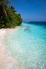 A white coral sand beach in the Maldives