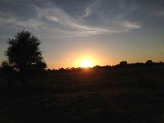 Romantic sunrise in Africa