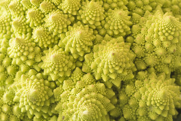 Romanesque Cauliflower 