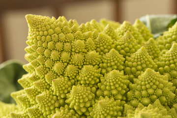 Romanesque Cauliflower 