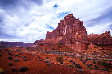 pustynny widok © AS