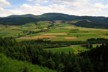 beautiful landscape in the Black Forest in Germany