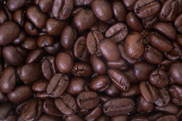 Coffee bean
