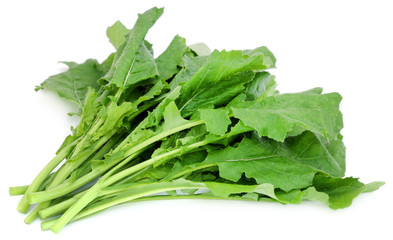 Edible mustard leaves