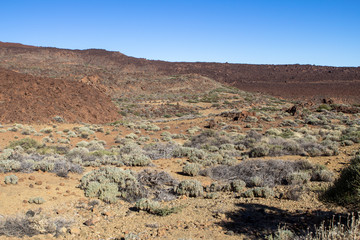 Lava Field on Tenerife, Spain.