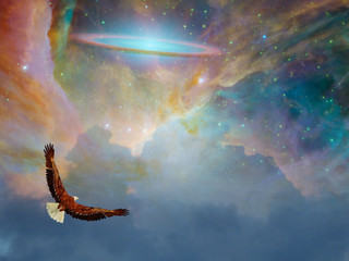 Fototapeta na wymiar Eagle in fantasy Flight Some elements provided courtesy of NASA 